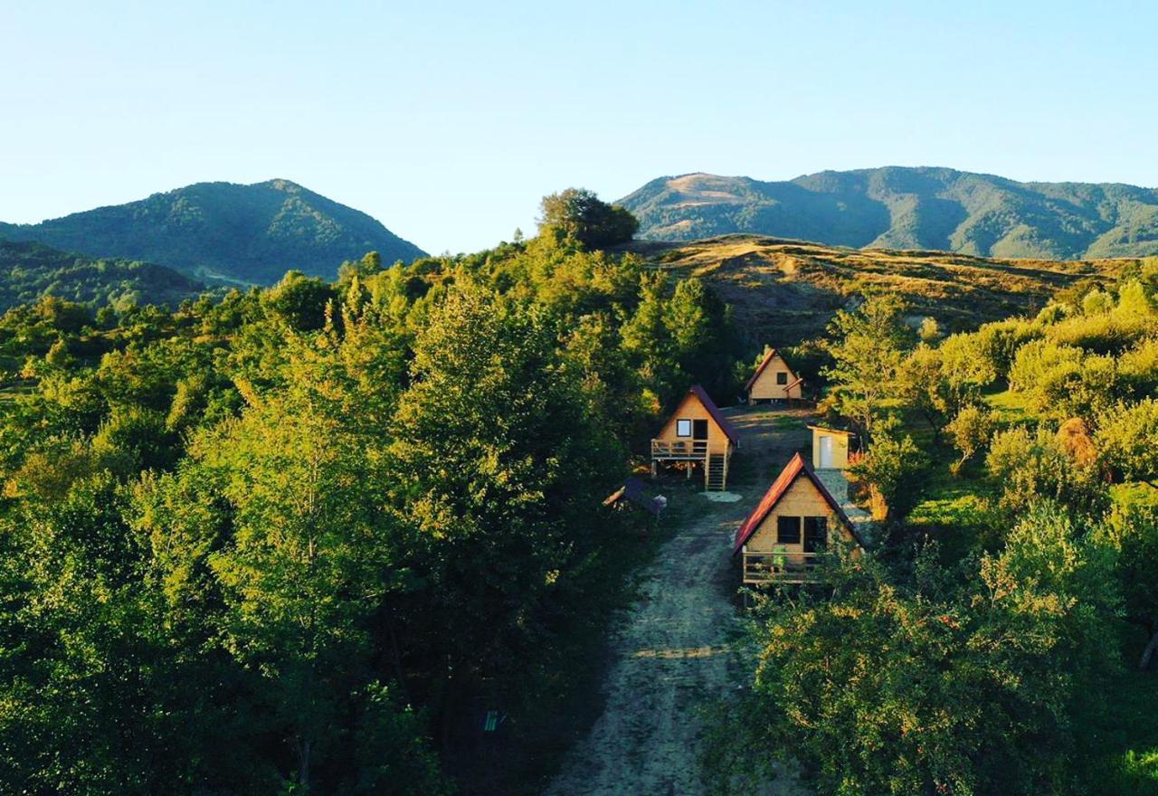Cabanele Lu' Dinu Curtea De Arges Bagian luar foto