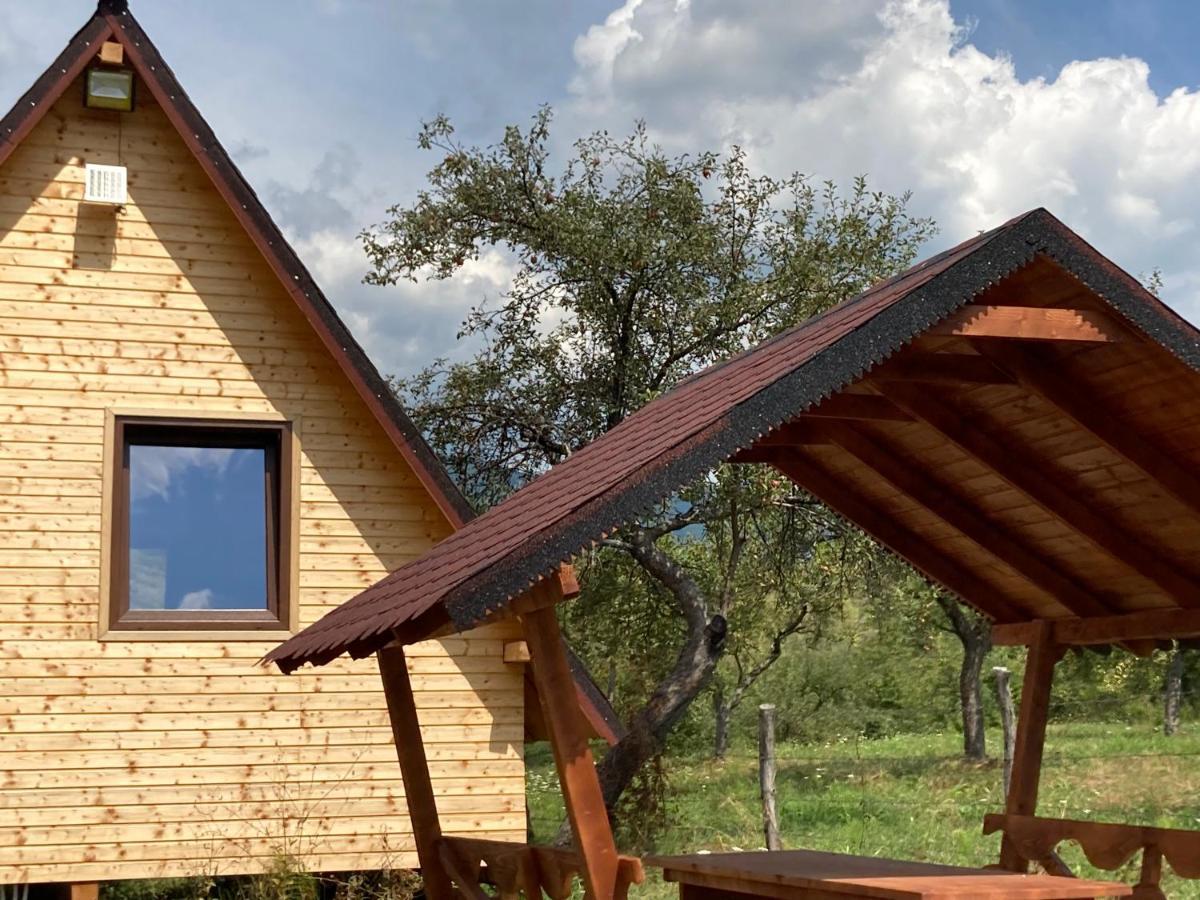 Cabanele Lu' Dinu Curtea De Arges Bagian luar foto