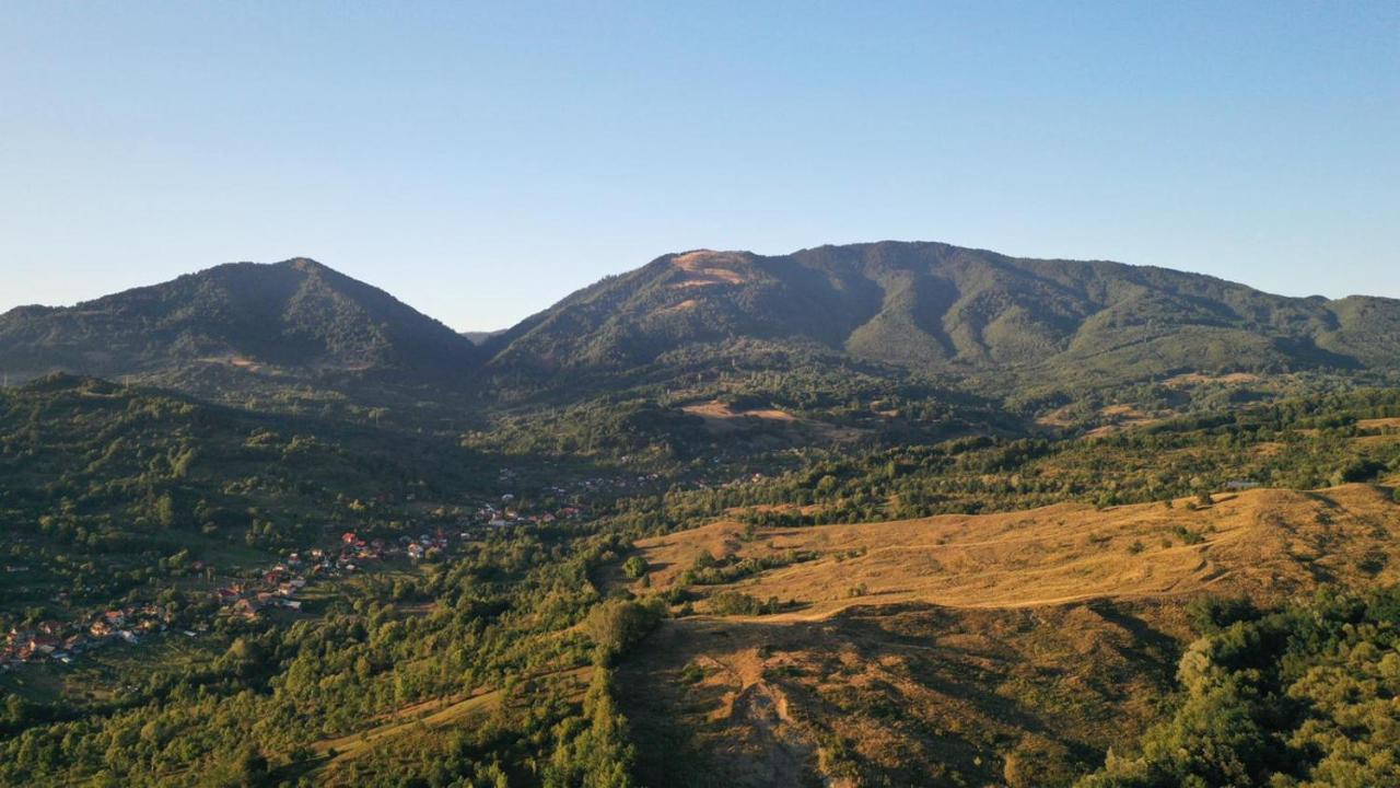 Cabanele Lu' Dinu Curtea De Arges Bagian luar foto