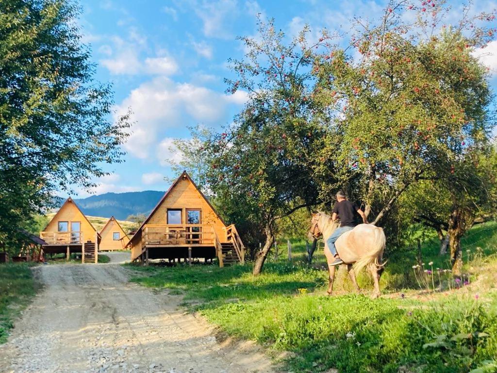 Cabanele Lu' Dinu Curtea De Arges Bagian luar foto