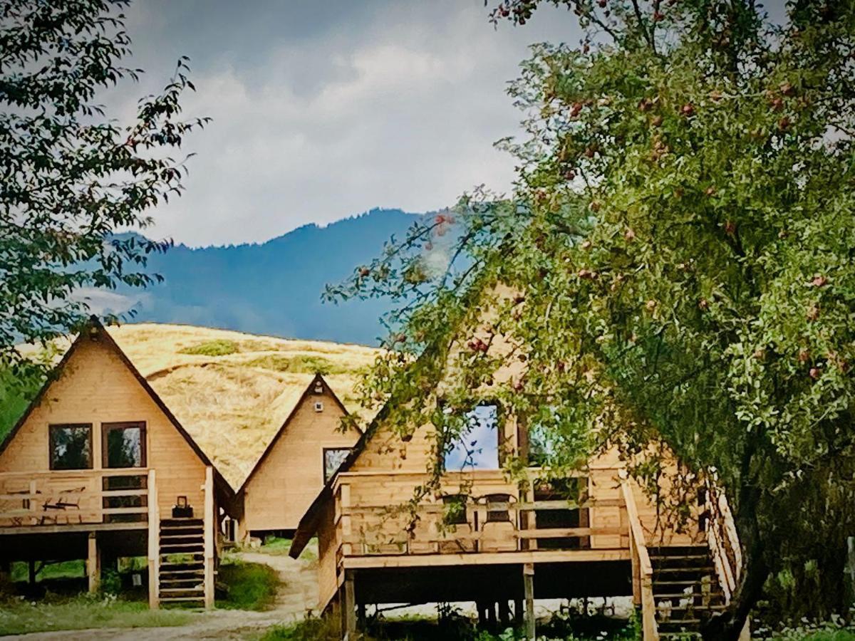 Cabanele Lu' Dinu Curtea De Arges Bagian luar foto