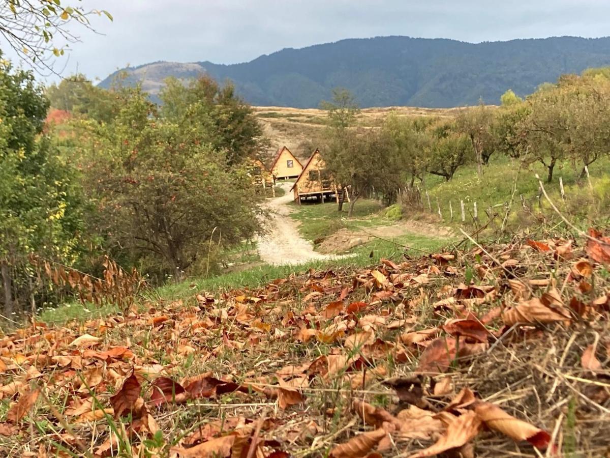 Cabanele Lu' Dinu Curtea De Arges Bagian luar foto