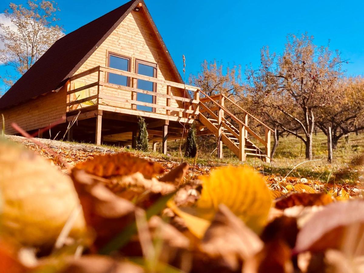 Cabanele Lu' Dinu Curtea De Arges Bagian luar foto
