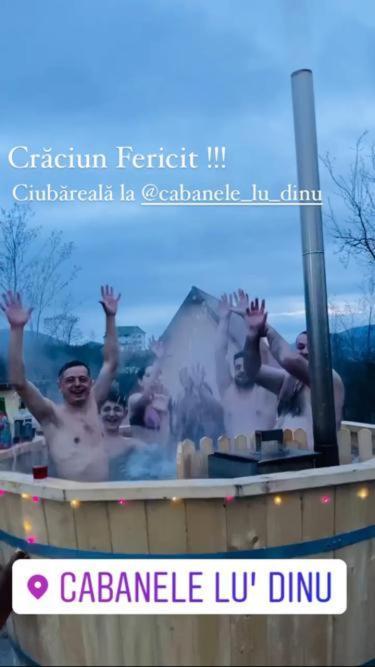 Cabanele Lu' Dinu Curtea De Arges Bagian luar foto